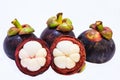 Closeup view of Tropical Fruit Mangosteens on the white background