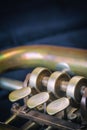 Closeup view of the trumpet flaps Royalty Free Stock Photo