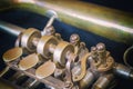 Closeup view of the trumpet flaps. Horizontally. Royalty Free Stock Photo