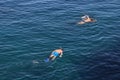 Closeup view of two men snorkeling in the sea Royalty Free Stock Photo