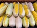 fresh ripe corn cobs on wooden basket background, closeup Royalty Free Stock Photo
