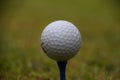 White golf ball on black tee closeup detail Royalty Free Stock Photo