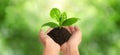 Closeup view of woman holding small plant in soil on blurred background, banner design. Ecology protection Royalty Free Stock Photo