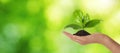 Closeup view of woman holding small plant in soil on blurred background, banner design with space for text. Ecology protection Royalty Free Stock Photo