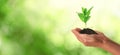 Closeup view of woman holding small plant in soil on blurred background, banner design with space for text. Ecology protection Royalty Free Stock Photo