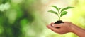 Closeup view of woman holding small plant in soil on blurred background, banner design with space for text. Ecology protection Royalty Free Stock Photo