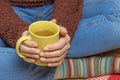 Closeup view of woman holding tea mug Royalty Free Stock Photo