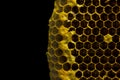 Closeup view of the working bees on honeycomb, Honey cells pattern isolated on black background. Royalty Free Stock Photo