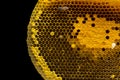 Closeup view of the working bees on honeycomb, Honey cells pattern, BeekeepingHoneycomb texture. Royalty Free Stock Photo