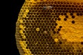 Closeup view of the working bees on honeycomb, Honey cells pattern, BeekeepingHoneycomb texture. Royalty Free Stock Photo