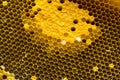 Closeup view of the working bees on honeycomb, Honey cells pattern, BeekeepingHoneycomb texture. Royalty Free Stock Photo