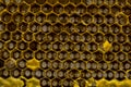 Closeup view of the working bees on honeycomb, Honey cells patte Royalty Free Stock Photo