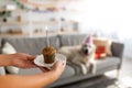 Closeup view of young woman holding small birthday cake with candle for her cute dog& x27;s birthday at home, selective focus Royalty Free Stock Photo