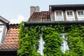 Closeup of vine overgrown historic woodframe buildings in downtown Hannover