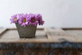 Closeup of violet summer flowers in a nice small metal vase on a rustic wooden piece of furniture