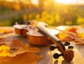 Closeup of a violin amongst golden autumn fallen leaves