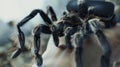 A closeup of a virtual tarantula crawling on a persons arm as they confront their fear of spiders through a VR exposure Royalty Free Stock Photo