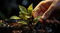 Closeup Volunteer hand planting potted plant. Generative AI