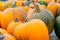 Closeup of wagon of pumpkins in variety of shapes, sizes and col Royalty Free Stock Photo