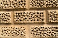 Closeup wall sandstone bricks holes decoration background Royalty Free Stock Photo