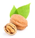 Closeup walnut with leaves. Royalty Free Stock Photo
