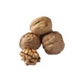 Closeup Walnuts isolated on white background. Side view