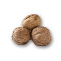 Closeup Walnuts isolated on white background. Side view