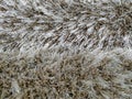 Closeup of warm fluffy and soft texture pattern of beige carpet rug made of different materials for indoor decoration and flooring Royalty Free Stock Photo