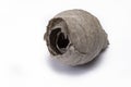 Closeup wasp nest isolated on white background Royalty Free Stock Photo