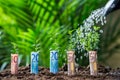 Water Being Poured On Plants Wrapped With Euro Bills