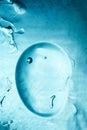 Closeup of Water Bubble Floating Underwater with Abstract Blue Background Royalty Free Stock Photo