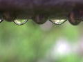 Closeup water drops on green leaf with blurred background ,macro image ,dew on nature leaves , droplets in forest Royalty Free Stock Photo