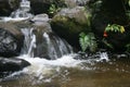Closeup of water flowing rapidly over rocks with ferns and flowers at Otavalo Ecuador