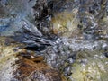 Closeup of water going over rocks