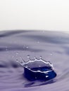 Closeup of a water splash in purple tone with white background Royalty Free Stock Photo