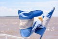 Closeup of waving flag of Argentina Royalty Free Stock Photo