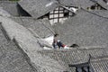 Closeup of weathered rooftops of houses in a daylight