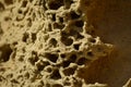 Closeup of the weathering of the globigerina limestone under the sunlight in Malta