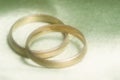 Closeup of wedding bands on green background Royalty Free Stock Photo