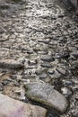 Closeup or wet cobblestone road, Puerto Vallarta, Mexico Royalty Free Stock Photo