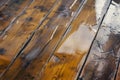 closeup of wet hardwood floor warping and buckling