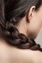 Closeup of wet woman hair in braid studio shot rear view focus on hair