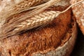 Closeup wheat ear on fresh homemade bread