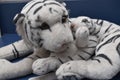 Closeup of white Bengal tiger toy with her cub Royalty Free Stock Photo