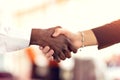 Closeup of White and Black shaking hands over a deal Royalty Free Stock Photo