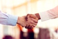 Closeup of White and Black shaking hands over a deal Royalty Free Stock Photo