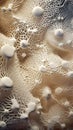 closeup white brown piece neri oxman ash anxious coral details i Royalty Free Stock Photo