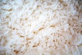 Closeup of white cooked rice Royalty Free Stock Photo