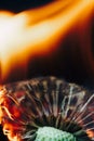 Closeup of white dandelion fluffs on fire