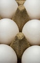 Closeup of white eggs in cardboard package Royalty Free Stock Photo